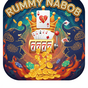 Rummy Nabob Android app icon — India APK listing